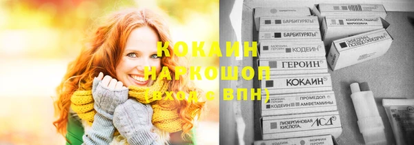 прущая мука Вяземский