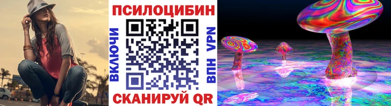 Псилоцибиновые грибы Cubensis  Купить где  Гулькевичи 